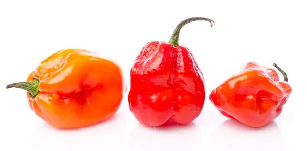 Čerstvé habanero paprika — Stock fotografie