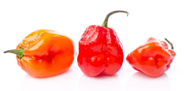 Fresh habanero peppers — Stock Photo, Image