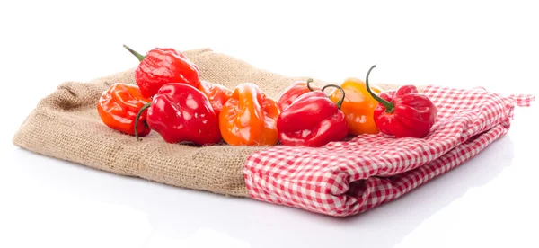 Verse habanero pepers op jute — Stockfoto