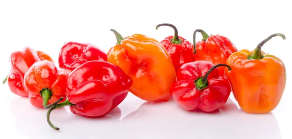 Fresh habanero peppers — Stock Photo, Image