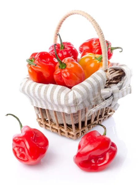 Fresh habanero peppers in a basket — Stock Photo, Image