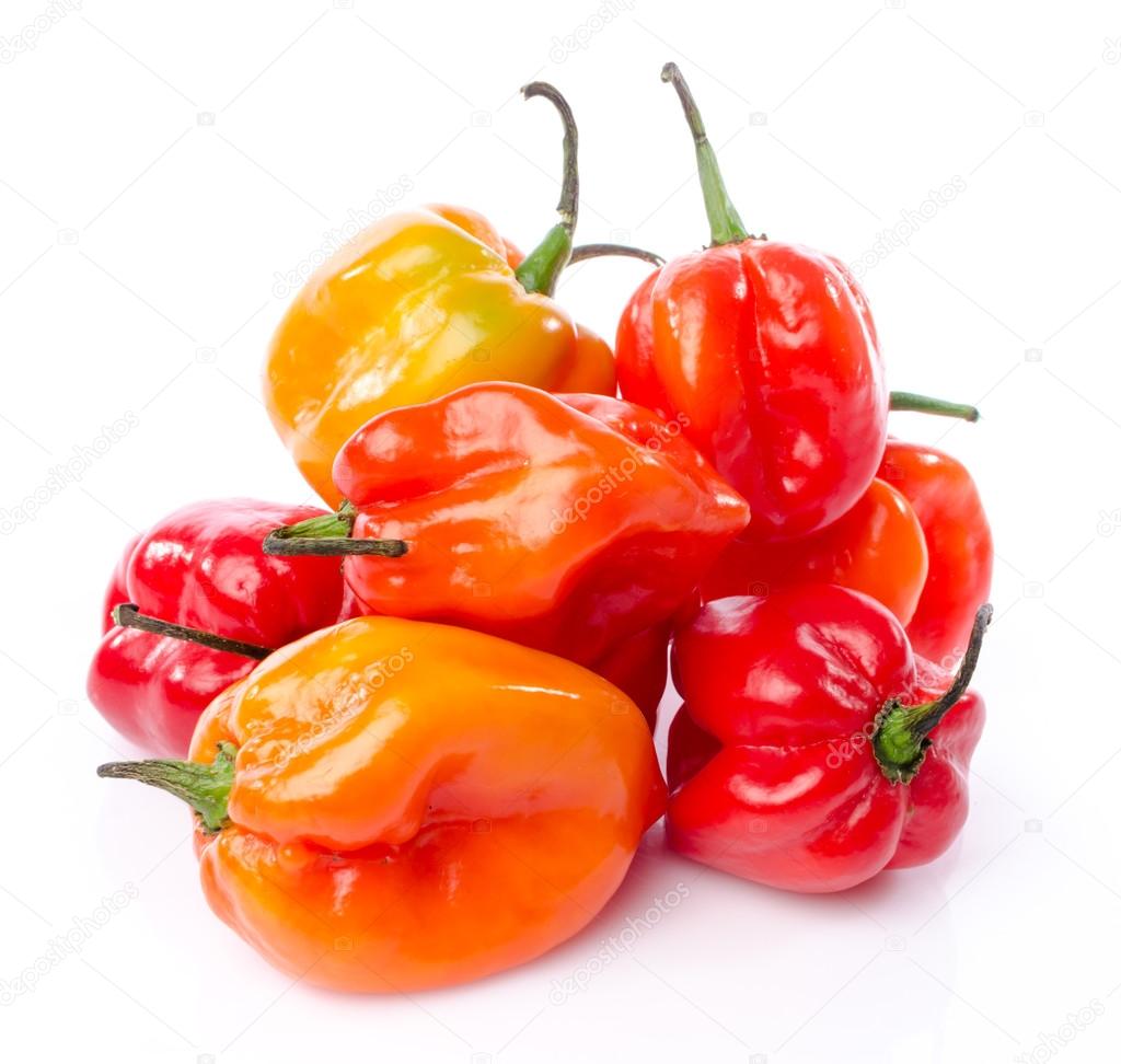 Fresh habanero peppers