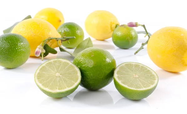 Verse limes en citroenen — Stockfoto