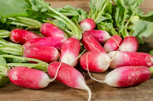 Fresh radishes — Stock Photo, Image