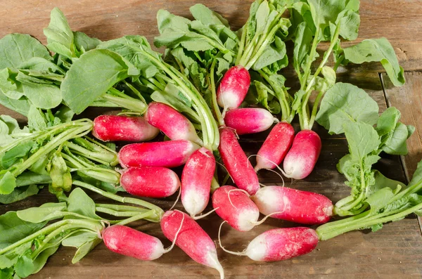 Fresh radishes — Stock Photo, Image