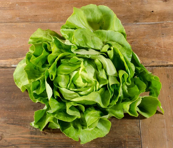 Ensalada de lechuga — Foto de Stock