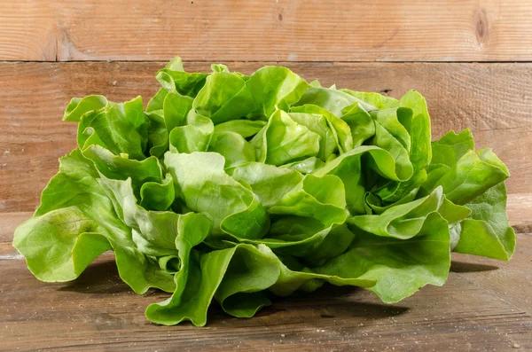 Salată de salată verde — Fotografie, imagine de stoc