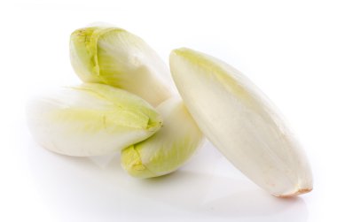 Fresh chicory clipart