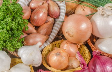 Soğan, sarımsak ve soğan farklı türleri