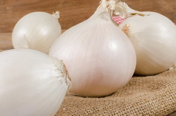 Witte uien — Stockfoto