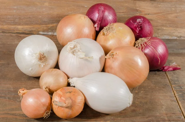 Różne rodzaje cebuli — Zdjęcie stockowe