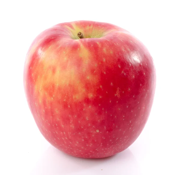 Fresh royal gala apple closeup — Stock Photo, Image