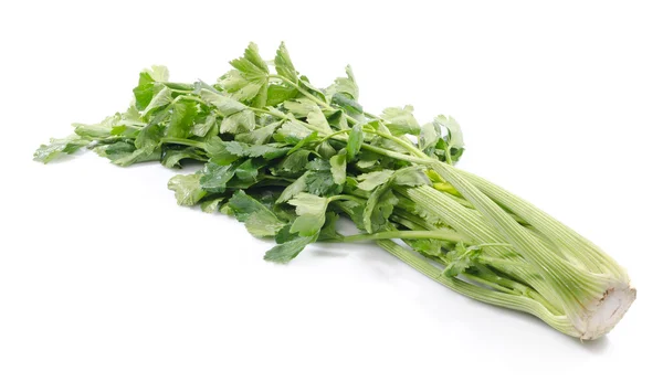 Green celery — Stock Photo, Image