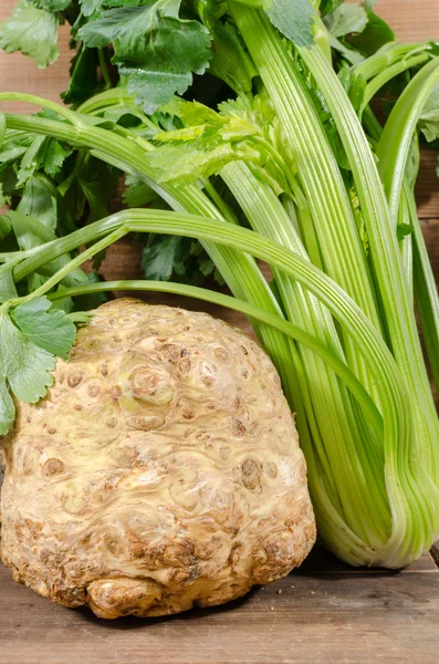 Celery root and green celery — Stock Photo, Image