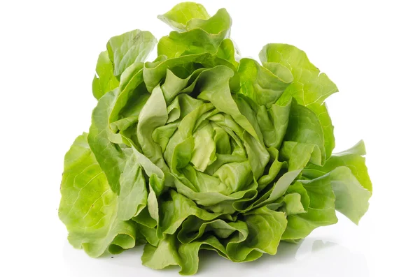 Fresh lettuce — Stock Photo, Image