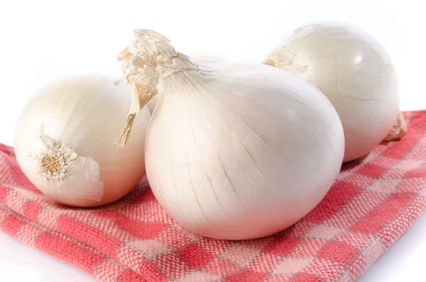 Verse witte uien op een handdoek — Stockfoto