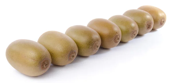 Frische Kiwi — Stockfoto