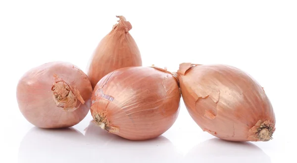 Shallot Stock Photo by ©shirotie 2461435