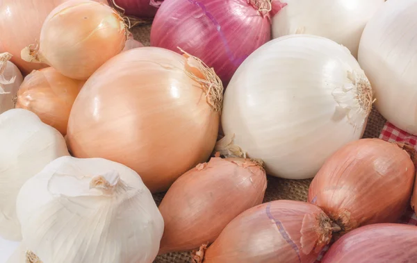 Cebollas, chalotes y ajo — Foto de Stock