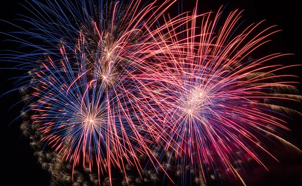 Fuegos artificiales —  Fotos de Stock