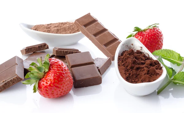 Csokoládé terek és kakaópor — Stock Fotó