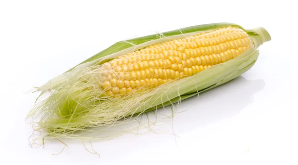 Fresh corn cob — Stock Photo, Image