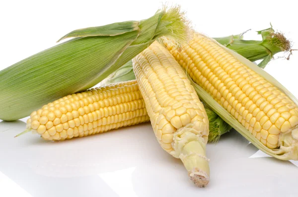 Fresh corn cob — Stock Photo, Image