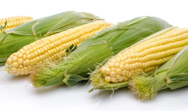 Fresh corn cob — Stock Photo, Image