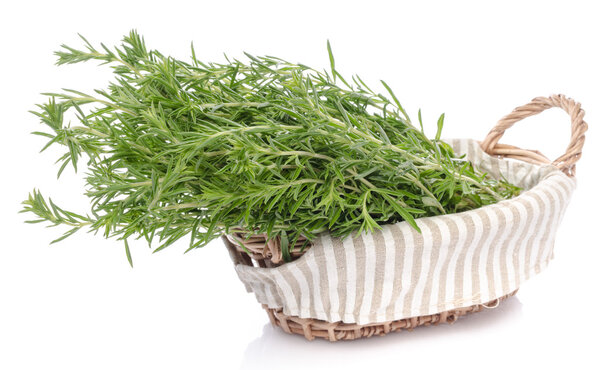 Bunch of fresh rosemary in a basket