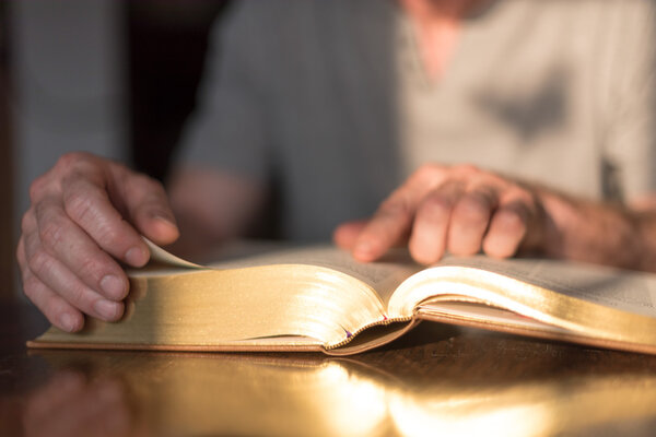 Man reading the Bible