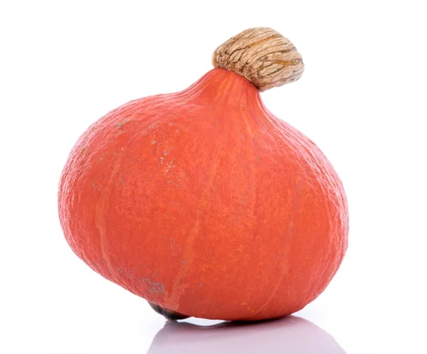 Orange pumpkin — Stock Photo, Image