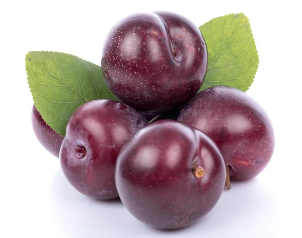 Ripe purple cherry plums — Stock Photo, Image