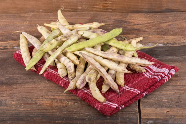 Many coco beans — Stock Photo, Image