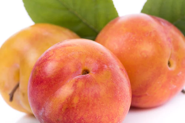 Ripe yellow plums — Stock Photo, Image