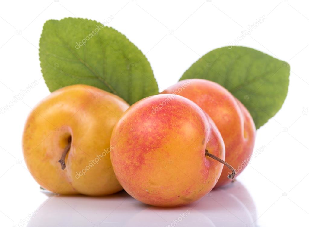Ripe yellow plums