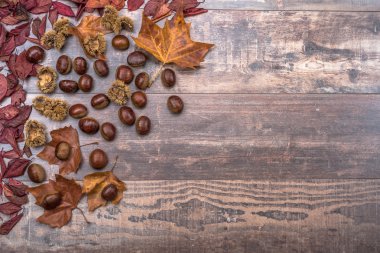 Sonbahar bir arka plan