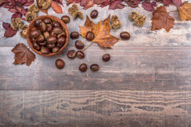 Sonbahar bir arka plan