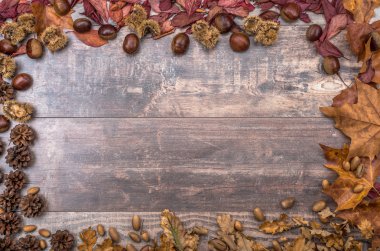 Sonbahar bir arka plan