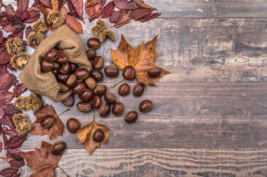 Sonbahar bir arka plan