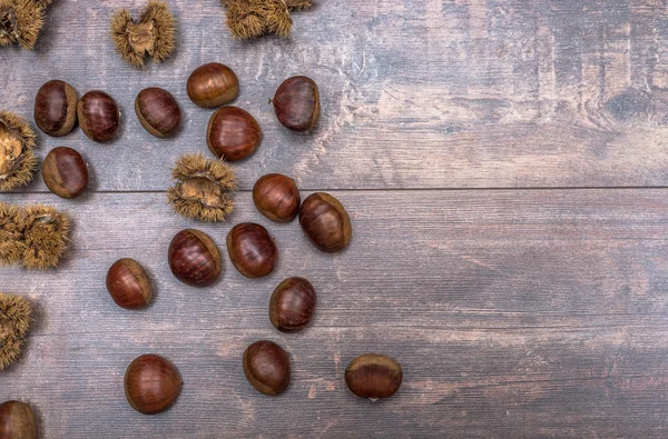 Een herfst achtergrond — Stockfoto