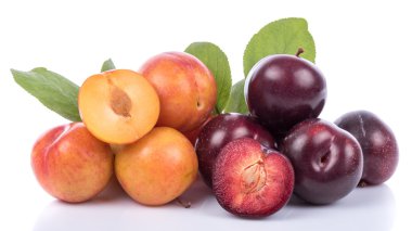 Olgun sarı ve kiraz Erik