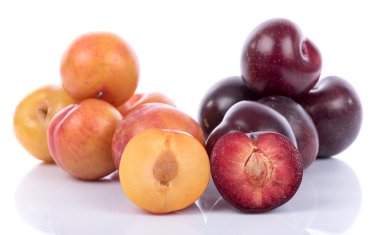 Olgun sarı ve kiraz Erik