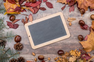 Sonbahar bir arka plan