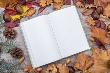 Sonbahar bir arka plan