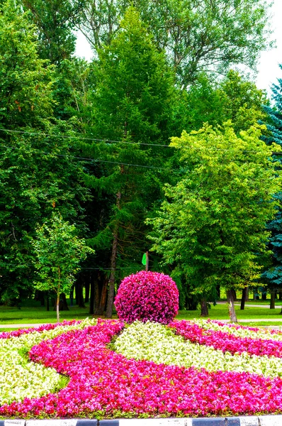 Summer street landscaping - bright colorful flowerbed with landscaping feature in form of big apple covered with pink begonia flowers.