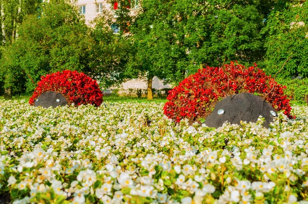 Summer park floral landscaping view - flowerbeds with landscaping features in form of ladybirds covered with red begonia flowers.