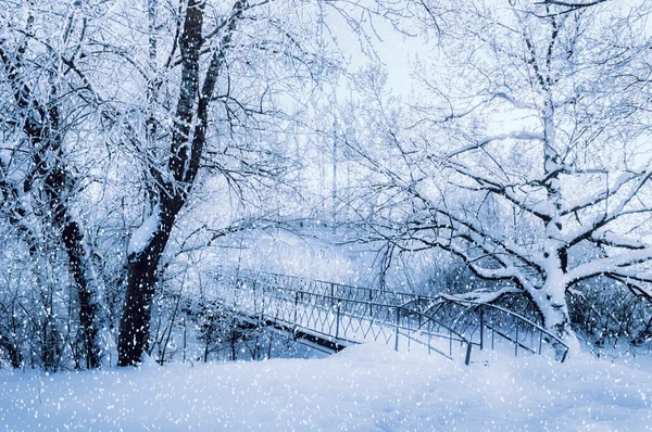 Winter landscape in cold tones - frosted winter trees and old bridge in the winter forest in cloudy cold winter weather.