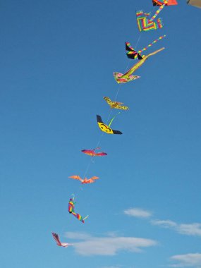 Renkli bir grup uçan uçurtmanın açık mavi gökyüzünde rüzgarla taşınan panoramik görüntüsü.