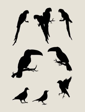 Kuş Silhouettes ayarla