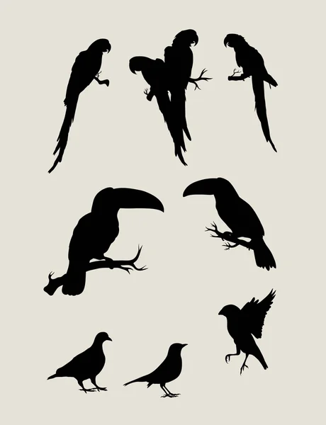 Vögel setzen Silhouetten — Stockvektor
